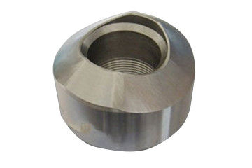 Accessori per tubi d'acciaio di Weldolet Stainelss